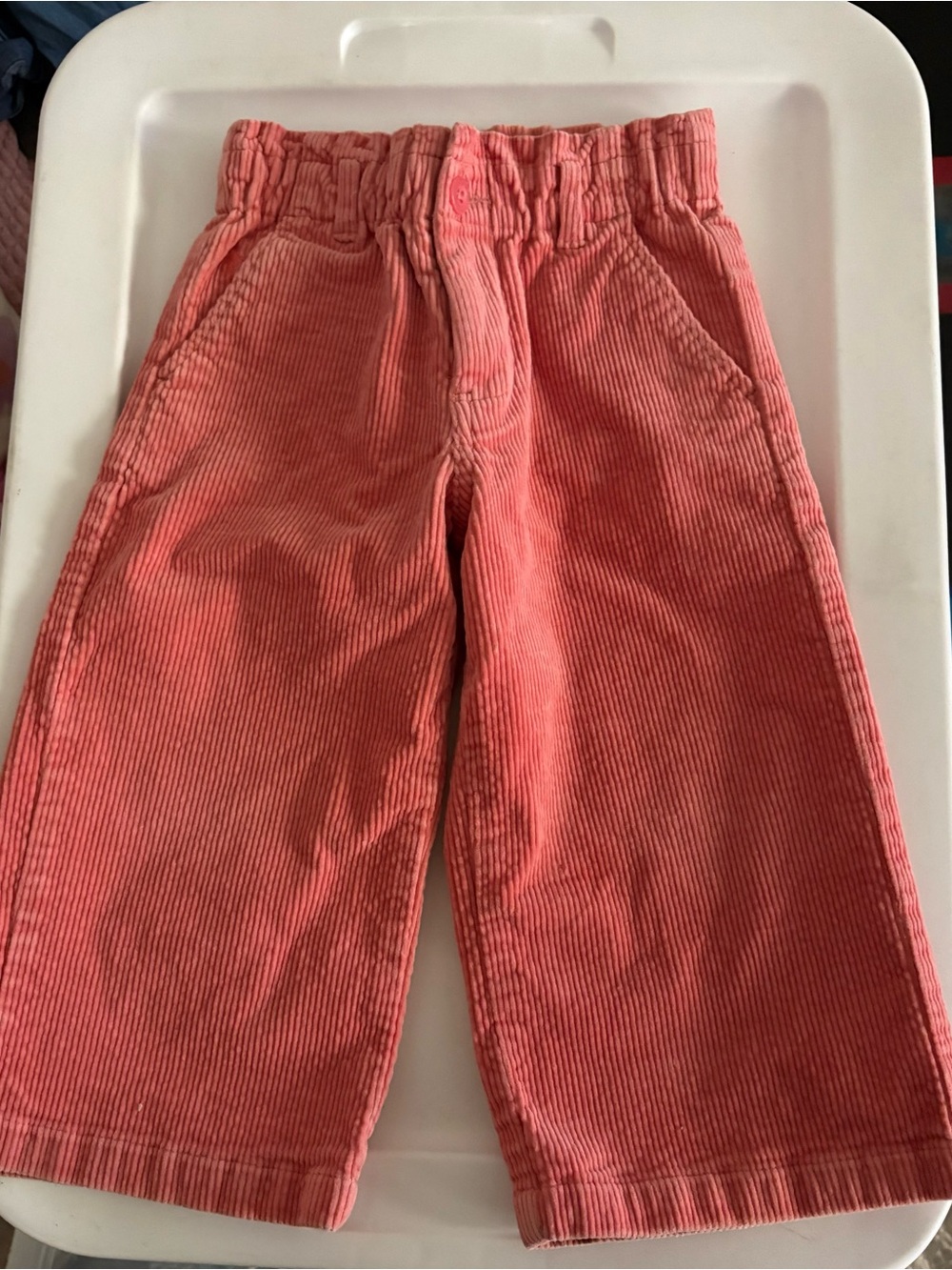 Polo by Ralph Lauren Coral Corduroy Pull-On Kids Pants